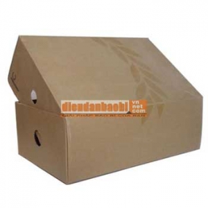 thùng-carton-3-lớp