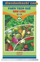 Phan-trun-Que-Nam-Long